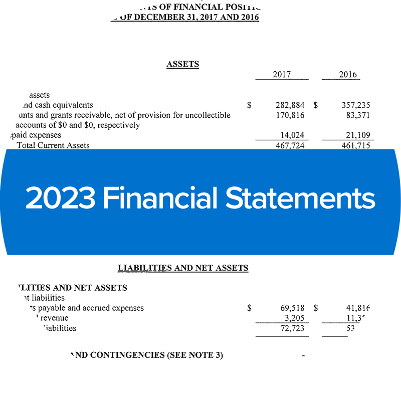 image of 2023 centerlink financial statements